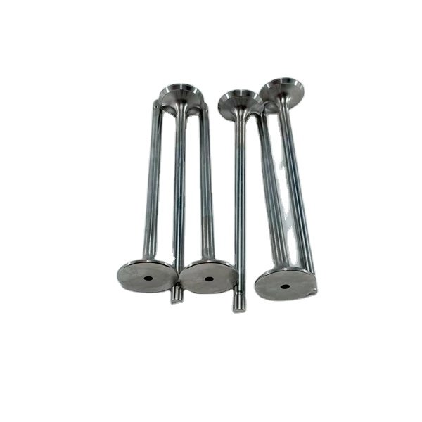 Original Exhaust Valve for Kinglong Sunlong Higer Bus diesel Engine SC9DF Engine Valves OEM D04-111-900+B